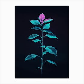 Cyanotype 1 Canvas Print