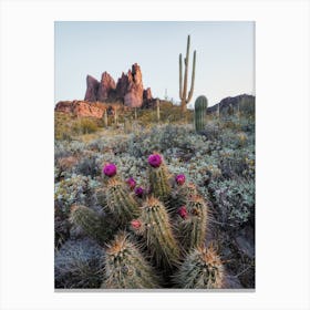 Dark Purple Cactus Flowers Canvas Print