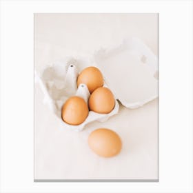 Eggs In A Carton Canvas Print