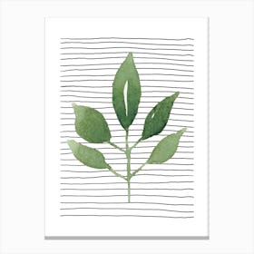 Green Leaf 5 Canvas Print