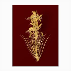 Vintage Yellow Asphodel Botanical in Gold on Red n.0207 Canvas Print