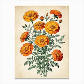 Orange Marigolds Canvas Print