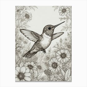 Hummingbird 50 Canvas Print