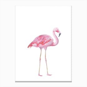 Pink Watercolour Flamingo Canvas Print