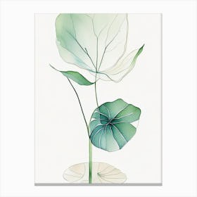 Water Lily Leaf Minimalist Watercolour 3 Canvas Print