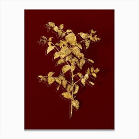 Vintage Tree Fuchsia Botanical in Gold on Red n.0114 Canvas Print