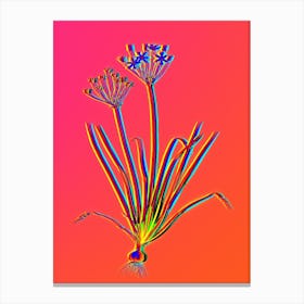 Neon Allium Straitum Botanical in Hot Pink and Electric Blue n.0049 Canvas Print