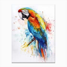 Macaw Colourful Watercolour 3 Canvas Print