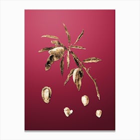 Gold Botanical Almond on Viva Magenta n.3002 Canvas Print