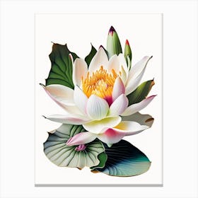 American Lotus Decoupage 3 Canvas Print