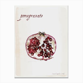 Pomegranate Canvas Print