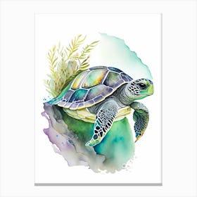 Nesting Sea Turtle, Sea Turtle Watercolour 1 Canvas Print