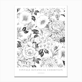 Veronica B&W Vintage Botanical Poster Canvas Print