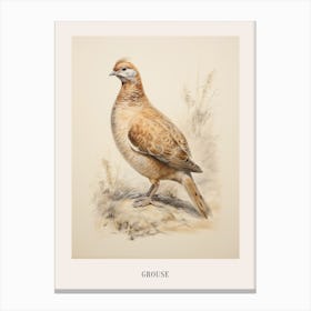 Vintage Bird Drawing Grouse 3 Poster Canvas Print