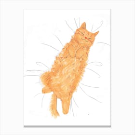 Ginger Cat Sleeping Canvas Print