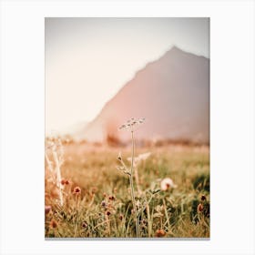 Warm Wildflower Scenery Canvas Print