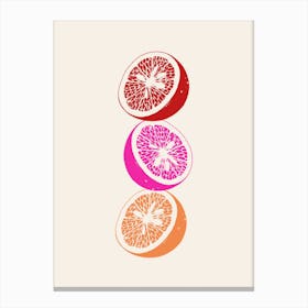 Pink Oranges Canvas Print
