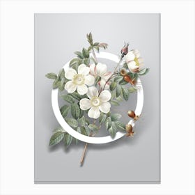 Vintage White Candolle Rose Minimalist Flower Geometric Circle on Soft Gray n.0504 Canvas Print