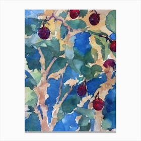 Golden Berry 1 Classic Fruit Canvas Print