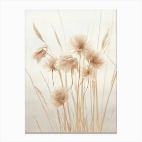 Boho Dried Flowers Cornflower 4 Canvas Print