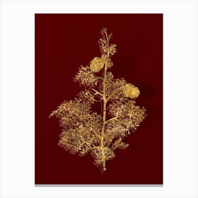 Vintage Mediterranean Cypress Botanical in Gold on Red n.0318 Canvas Print