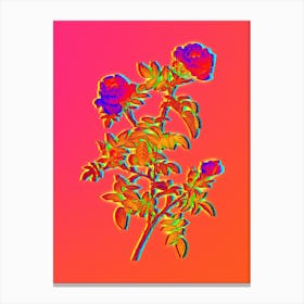 Neon Rose of the Hedges Botanical in Hot Pink and Electric Blue n.0278 Canvas Print