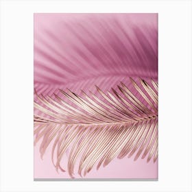 Close Up Of A Palm Leaf Canvas Print