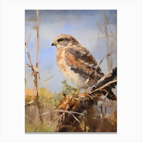 Bird Painting Eurasian Sparrowhawk 2 Canvas Print