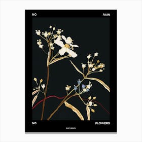 No Rain No Flowers Poster Babys Breath 6 Canvas Print