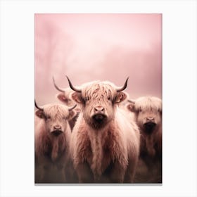 Blush Pink Highland Cows In The Rain 1 Canvas Print