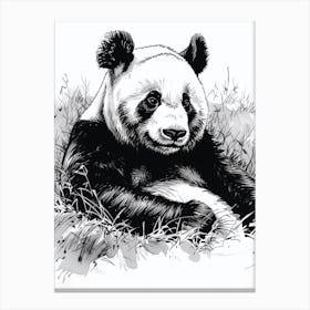 Giant Panda Resting In A Field Ink Illustration 2 Canvas Print
