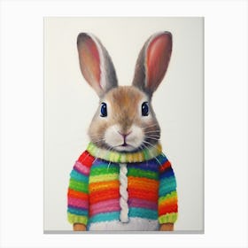 Baby Animal Wearing Sweater Rabbit 1 Canvas Print