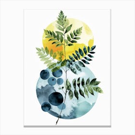 Ferns Canvas Print