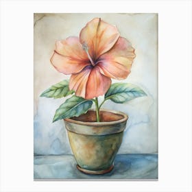 Hibiscus 1 Canvas Print