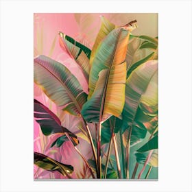 Tropical Plants 2 Canvas Print