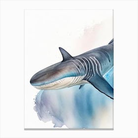 Spinner Shark 2 Watercolour Canvas Print