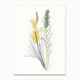 Horsetail Spices And Herbs Minimal Line Drawing 1 Canvas Print