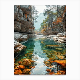 Rocky River In The Mountains Canvas Print