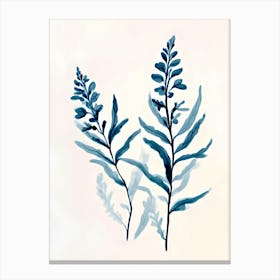 Blue Eucalyptus Canvas Print