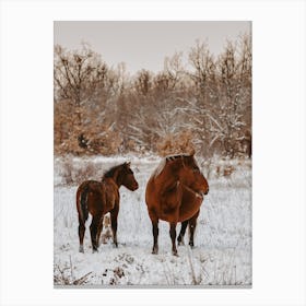 Snowy Pair Of Horses Canvas Print