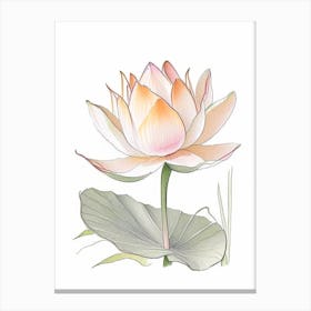 Lotus Flower In Garden Pencil Illustration 5 Canvas Print