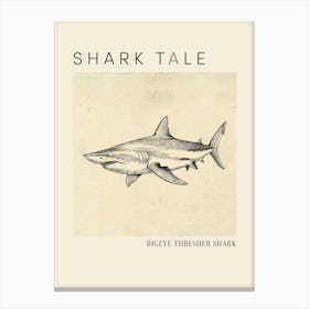 Bigeye Thresher Shark Vintage Illustration 5 Poster Canvas Print