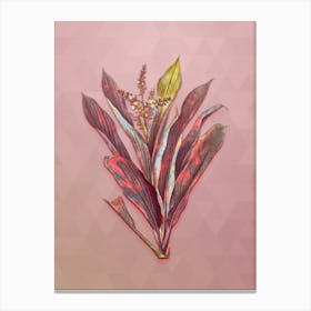 Vintage Cordyline Fruticosa Botanical Art on Crystal Rose n.0607 Canvas Print