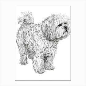 Coton De Tulear Dog Line Sketch 2 Canvas Print