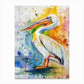 Pelican Colourful Watercolour 3 Canvas Print