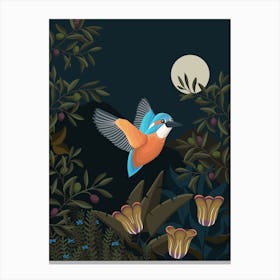 Kingfisher Bird At Night Canvas Print
