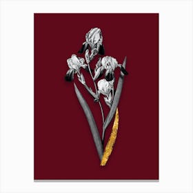 Vintage Elder Scented Iris Black and White Gold Leaf Floral Art on Burgundy Red n.1200 Canvas Print
