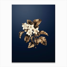 Gold Botanical Sweet Crabapple on Midnight Navy n.0085 Canvas Print