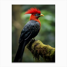 Feathers of the Andes: Jungle Bird Wall Art Canvas Print