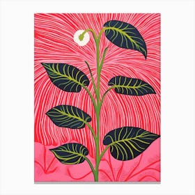 Pink And Red Plant Illustration Areca Palm 1 Canvas Print